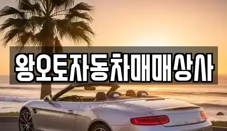 서울특별시 도봉구 창동 중고차매매 전문 왕오토자동차매매상사