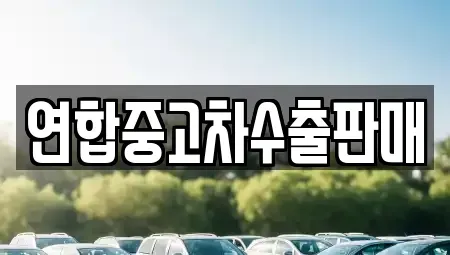 서울특별시 동작구 사당동 중고차매매 전문 연합중고차수출판매
