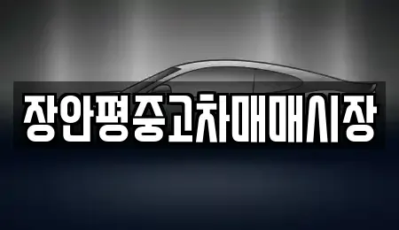 서울특별시 동작구 신대방동 중고차매매 전문 장안평중고차매매시장