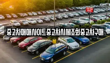 서울특별시 동작구 신대방동 중고차매매 전문 중고차매매사이트중고차시세조회중고차구매
