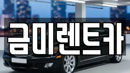 서울특별시 동작구 흑석동 렌트카 전문 금미렌트카