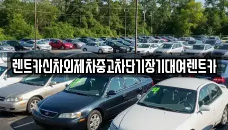 서울특별시 동작구 흑석동 렌트카,단기렌트카,장기렌트카,중고차,중고차매매,중고차매입