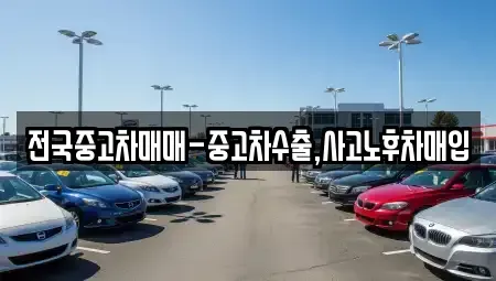 서울특별시 동작구 흑석동 중고차매입 전문 전국중고차매매-중고차수출,사고노후차매입