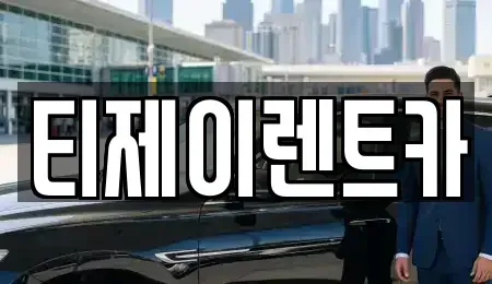 서울특별시 마포구 도화동 렌트카 전문 티제이렌트카