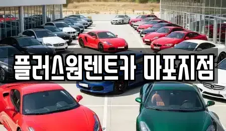 서울특별시 마포구 도화동 렌트카,단기렌트카,장기렌트카,중고차,중고차매매,중고차매입