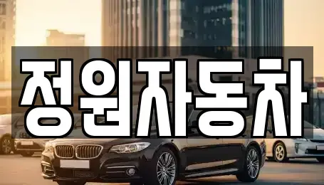 서울특별시 마포구 도화동 중고차 전문 정원자동차