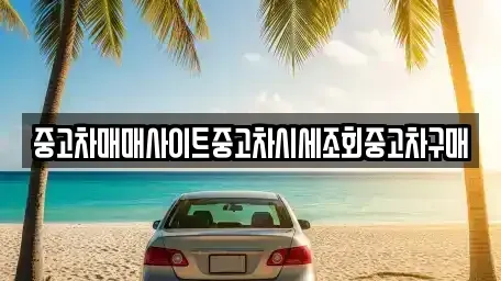 서울특별시 마포구 도화동 중고차 전문 중고차매매사이트중고차시세조회중고차구매
