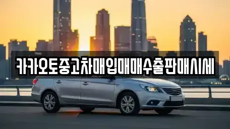 서울특별시 마포구 도화동 중고차 전문 카카오토중고차매입매매수출판매시세