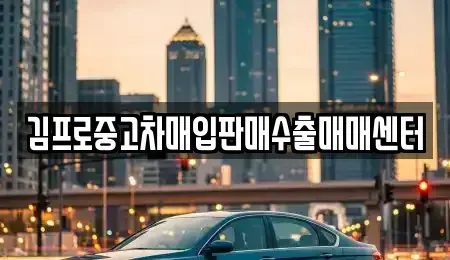 서울특별시 마포구 도화동 중고차매입 전문 김프로중고차매입판매수출매매센터