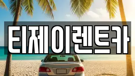 서울특별시 마포구 현석동 렌트카 전문 티제이렌트카