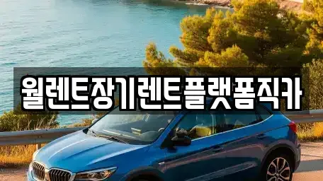 서울특별시 마포구 현석동 장기렌트카 전문 월렌트장기렌트플랫폼직카