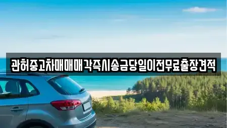 서울특별시 마포구 현석동 중고차 전문 관허중고차매매매각즉시송금당일이전무료출장견적