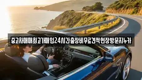서울특별시 서대문구 대신동 중고차매매,단기렌트카,중고차매입,장기렌트카,중고차,렌트카