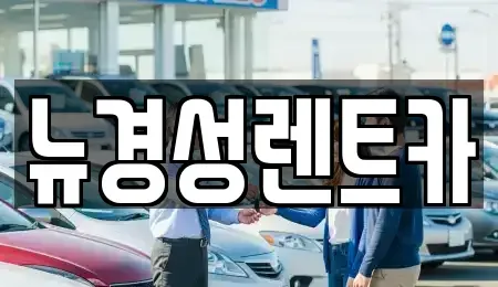 서울특별시 서대문구 천연동 렌트카 전문 뉴경성렌트카