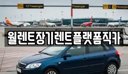 서울특별시 서대문구 천연동 장기렌트카 전문 월렌트장기렌트플랫폼직카