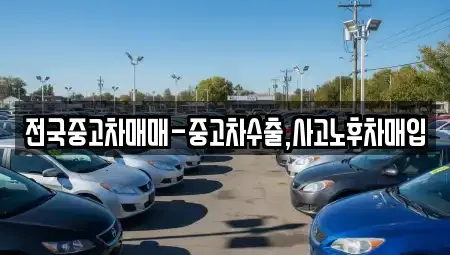 서울특별시 서대문구 천연동 중고차매입 전문 전국중고차매매-중고차수출,사고노후차매입