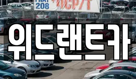 서울특별시 서초구 염곡동 장기렌트카 전문 위드랜트카