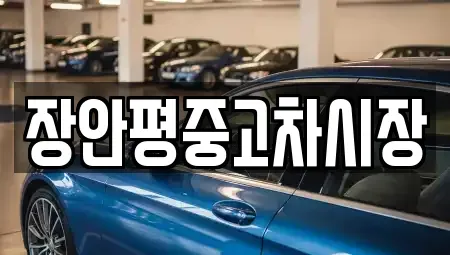 서울특별시 서초구 염곡동 중고차 전문 장안평중고차시장