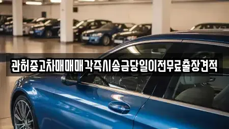 서울특별시 성동구 응봉동 중고차매매,단기렌트카,중고차매입,장기렌트카,중고차,렌트카