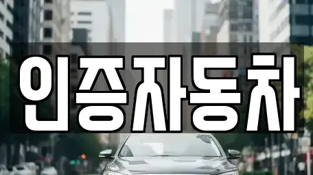 서울특별시 성동구 하왕십리동 중고차매매 전문 인증자동차