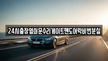 서울특별시 성동구 하왕십리동 중고차매입 전문 24시출장열쇠문수리게이트맨도어락비번분실
