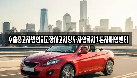 서울특별시 성동구 하왕십리동 중고차매입 전문 수출중고차법인차고장사고차망자차압류차1톤차매입센터