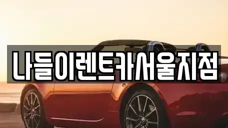 서울특별시 성북구 돈암동 렌트카 전문 나들이렌트카서울지점