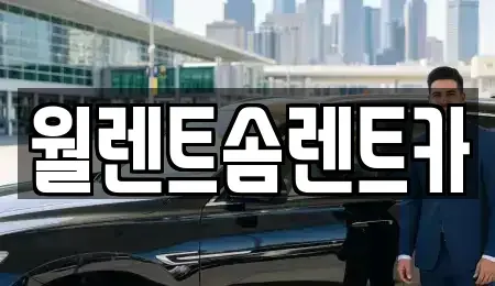 서울특별시 성북구 돈암동 렌트카 전문 월렌트솜렌트카