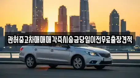 서울특별시 성북구 돈암동 중고차 전문 관허중고차매매매각즉시송금당일이전무료출장견적