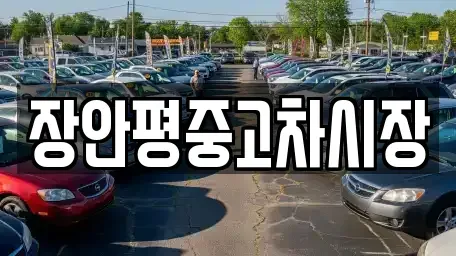 서울특별시 성북구 돈암동 중고차 전문 장안평중고차시장