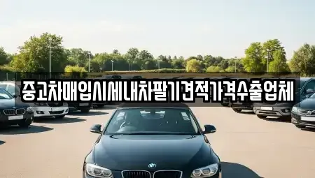 서울특별시 성북구 돈암동 중고차 전문 중고차매입시세내차팔기견적가격수출업체