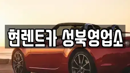 서울특별시 성북구 동선동5가 렌트카 전문 현렌트카 성북영업소