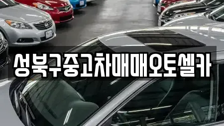 서울특별시 성북구 동선동5가 중고차매매 전문 성북구중고차매매오토셀카