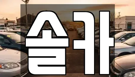 서울특별시 성북구 동선동5가 중고차매매,단기렌트카,중고차매입,장기렌트카,중고차,렌트카