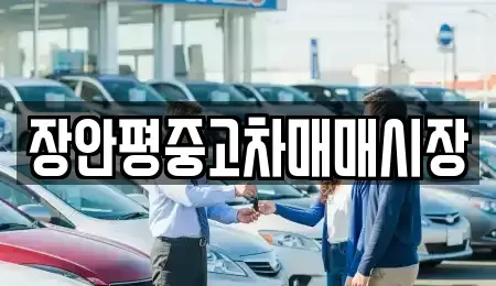 서울특별시 성북구 동선동5가 중고차매매 전문 장안평중고차매매시장