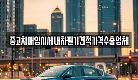 서울특별시 성북구 동선동5가 중고차매입 전문 중고차매입시세내차팔기견적가격수출업체