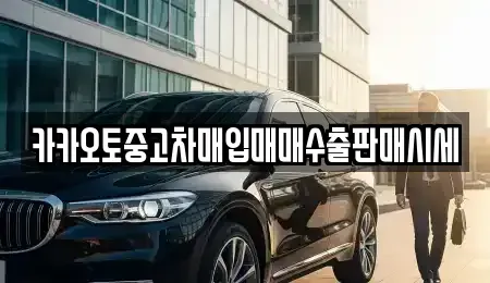 서울특별시 성북구 동선동5가 중고차매입 전문 카카오토중고차매입매매수출판매시세