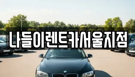 서울특별시 성북구 삼선동5가 렌트카 전문 나들이렌트카서울지점