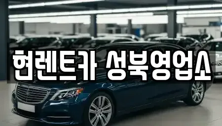 서울특별시 성북구 삼선동5가 렌트카 전문 현렌트카 성북영업소