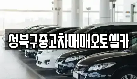서울특별시 성북구 삼선동5가 중고차매매 전문 성북구중고차매매오토셀카