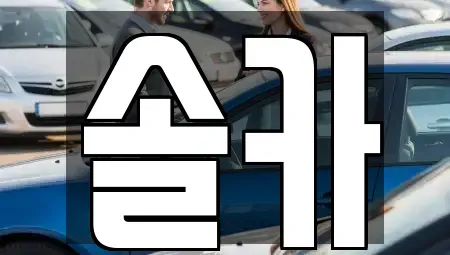 서울특별시 성북구 삼선동5가 중고차매매,단기렌트카,중고차매입,장기렌트카,중고차,렌트카