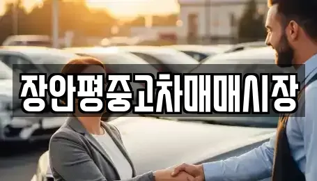 서울특별시 성북구 삼선동5가 중고차매매 전문 장안평중고차매매시장