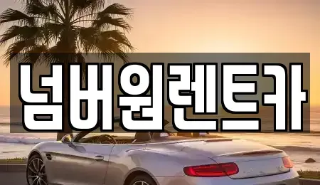 서울특별시 송파구 장지동 단기렌트카 전문 넘버원렌트카