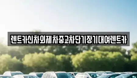서울특별시 송파구 장지동 단기렌트카 전문 렌트카신차외제차중고차단기장기대여렌트카
