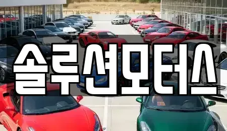 서울특별시 송파구 장지동 단기렌트카 전문 솔루션모터스