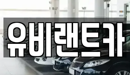 서울특별시 송파구 장지동 단기렌트카 전문 유비랜트카