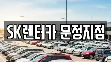 서울특별시 송파구 장지동 장기렌트카 전문 SK렌터카 문정지점