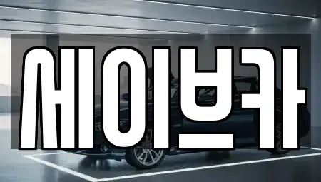 서울특별시 송파구 장지동 장기렌트카 전문 세이브카