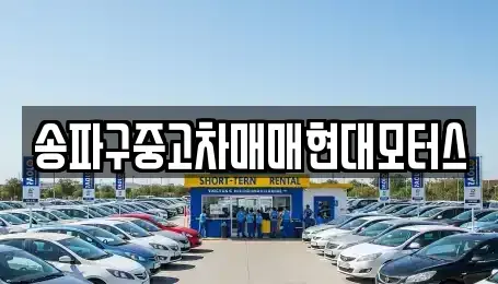서울특별시 송파구 장지동 중고차 전문 송파구중고차매매현대모터스