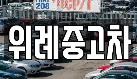 서울특별시 송파구 장지동 중고차 전문 위례중고차